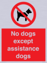 no-dogs-except-assistance-dogs~